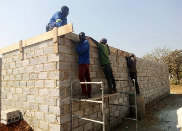 Residents and workers help each other build houses