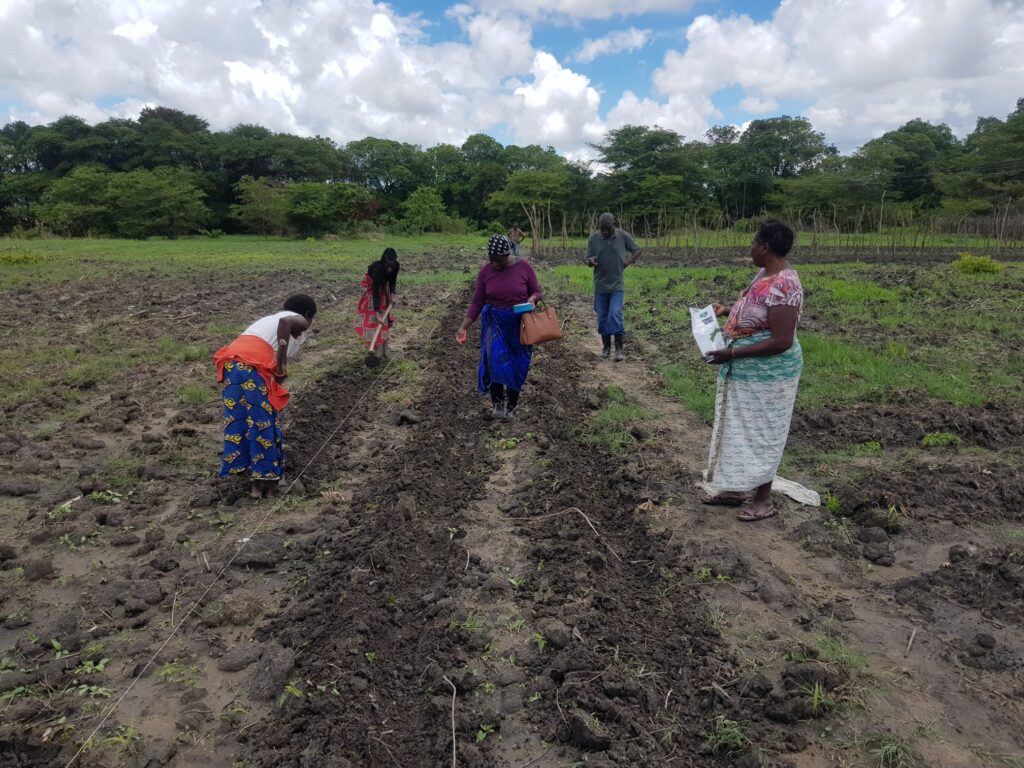 Planting-season-women-helping2-1024x768 (1)